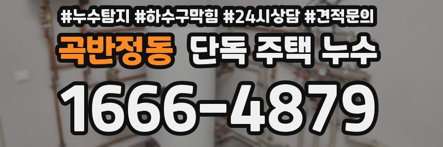 곡반정동 단독 주택 누수