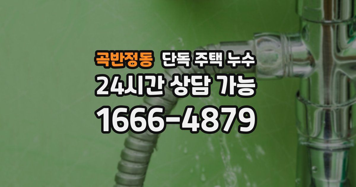 곡반정동 단독 주택 누수