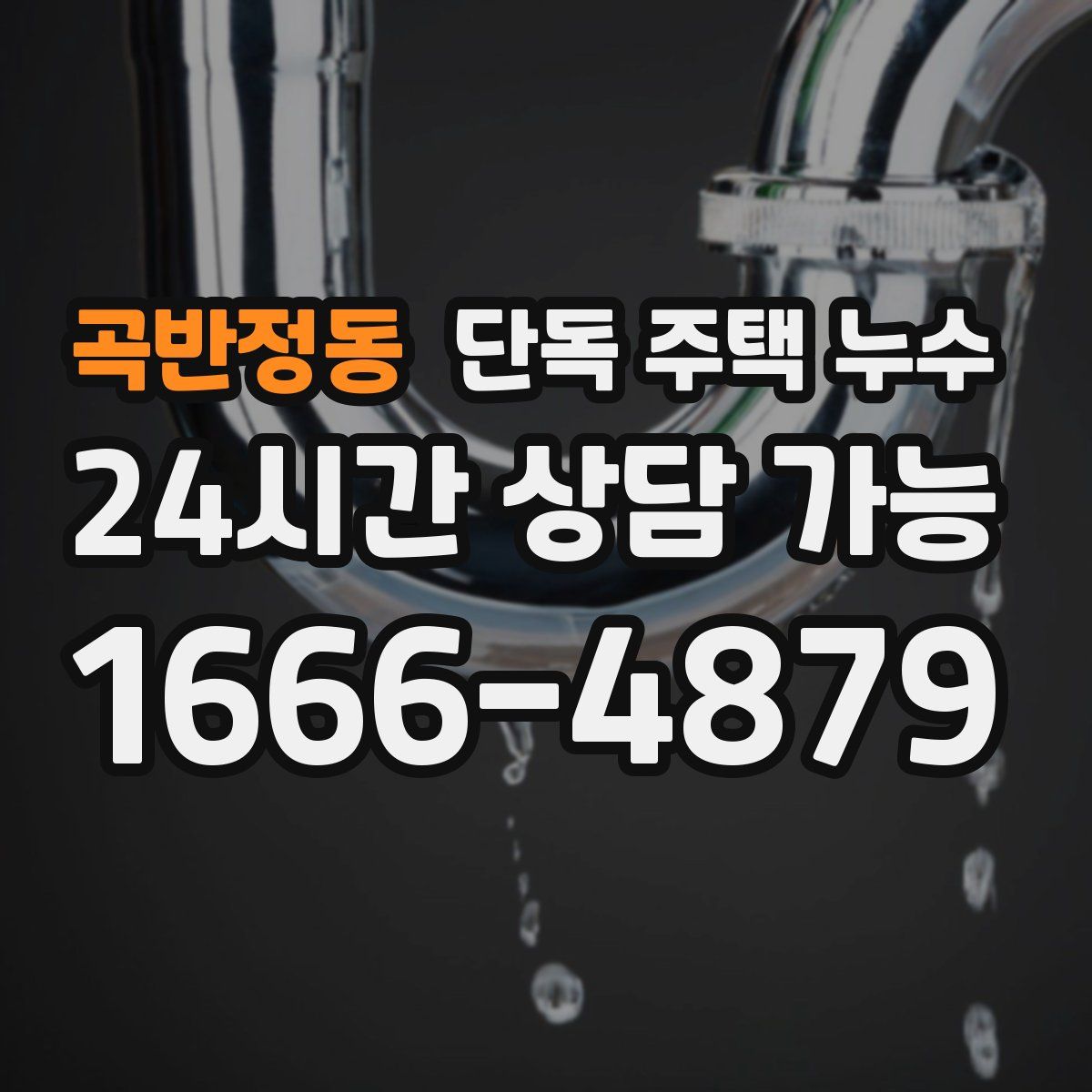 곡반정동 단독 주택 누수