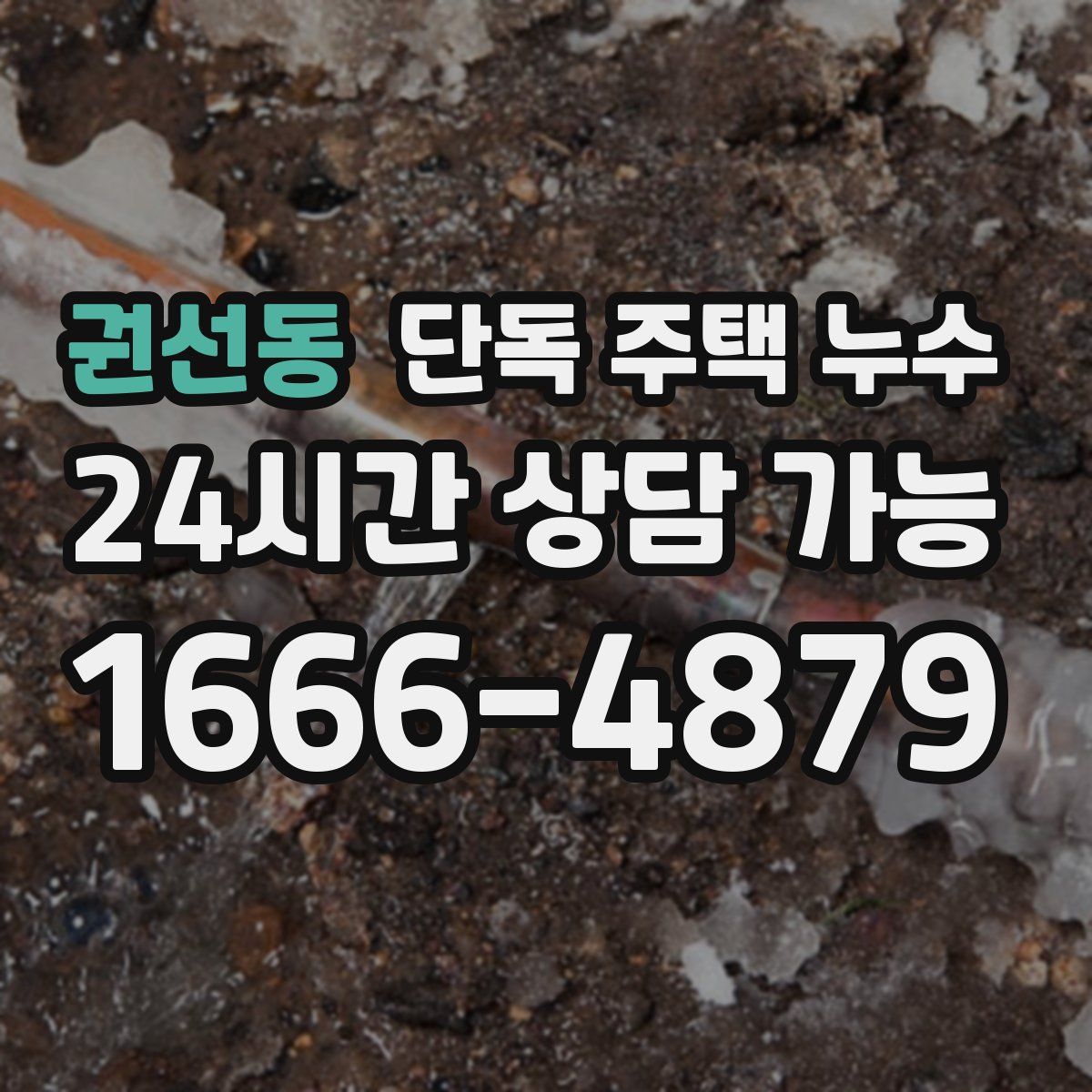 권선동 단독 주택 누수