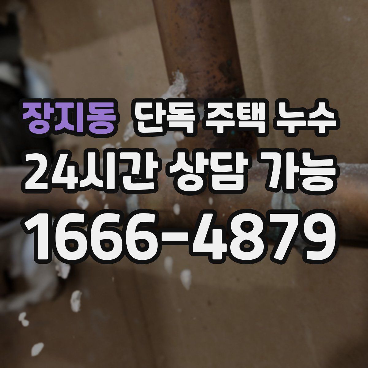 장지동 단독 주택 누수