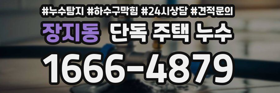 장지동 단독 주택 누수