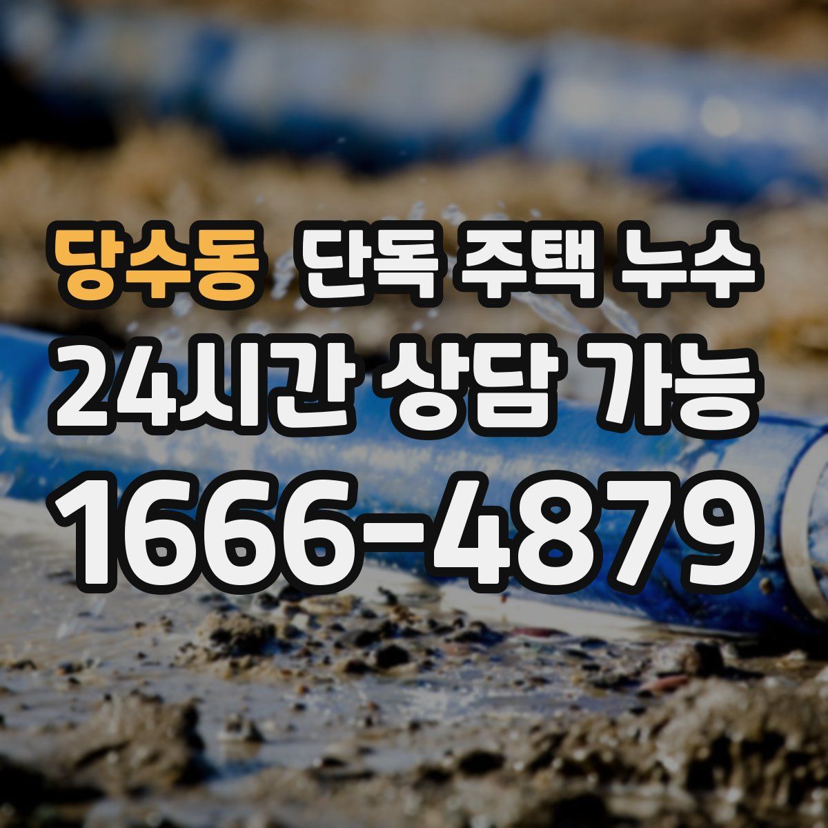 당수동 단독 주택 누수