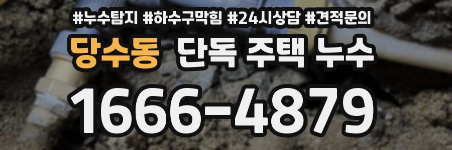 당수동 단독 주택 누수
