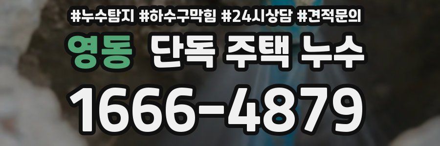 영동 단독 주택 누수