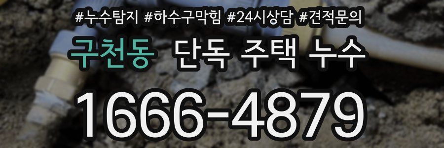 구천동 단독 주택 누수