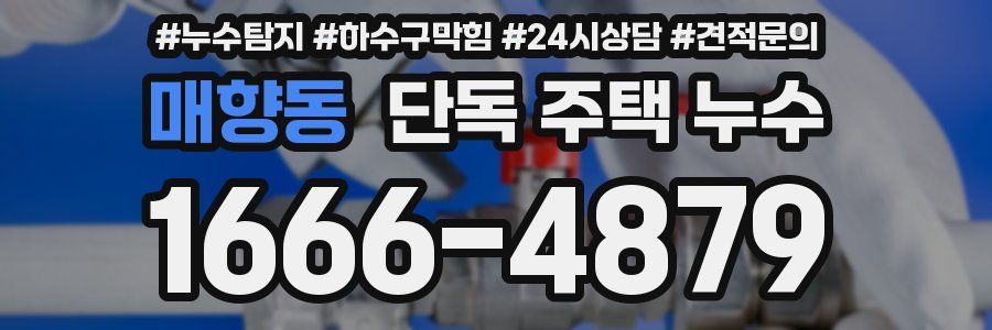 매향동 단독 주택 누수