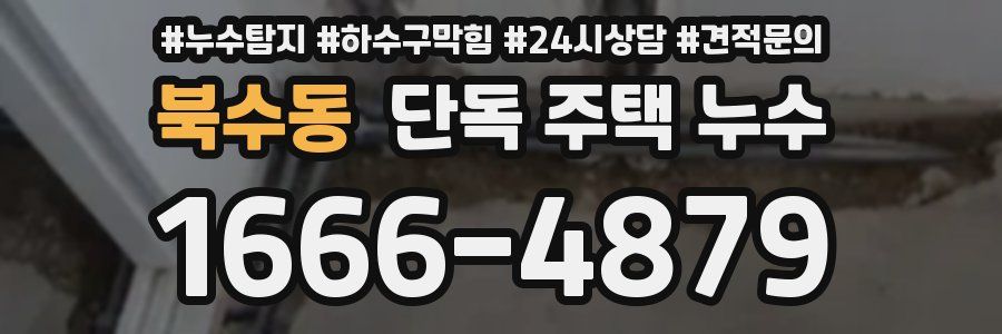 북수동 단독 주택 누수