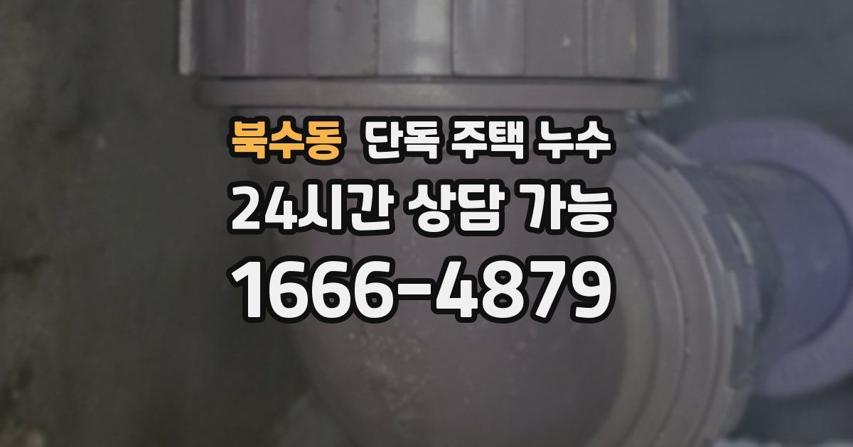 북수동 단독 주택 누수