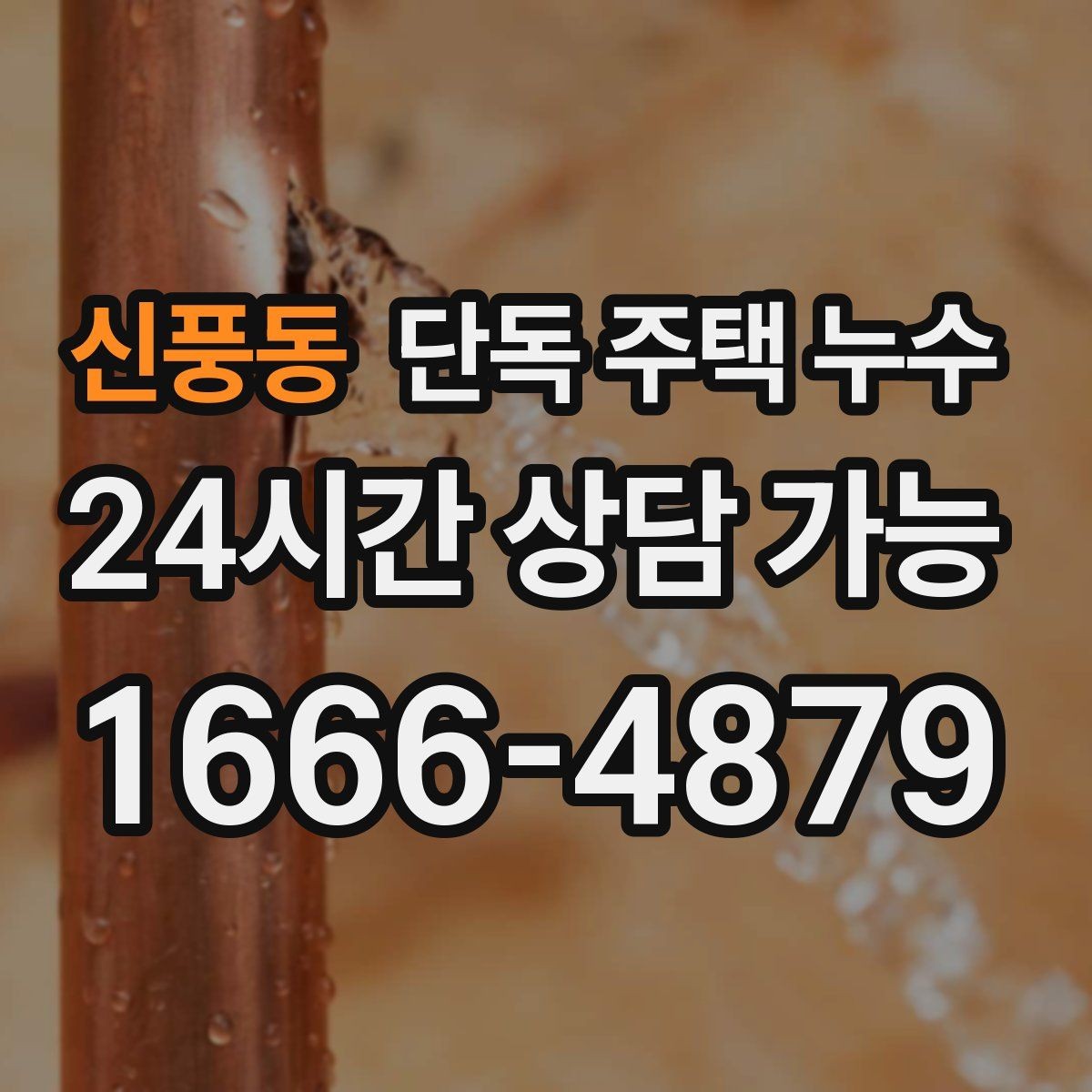 신풍동 단독 주택 누수 조명 주변에 물자국이 생겼을 때 즉시 점검