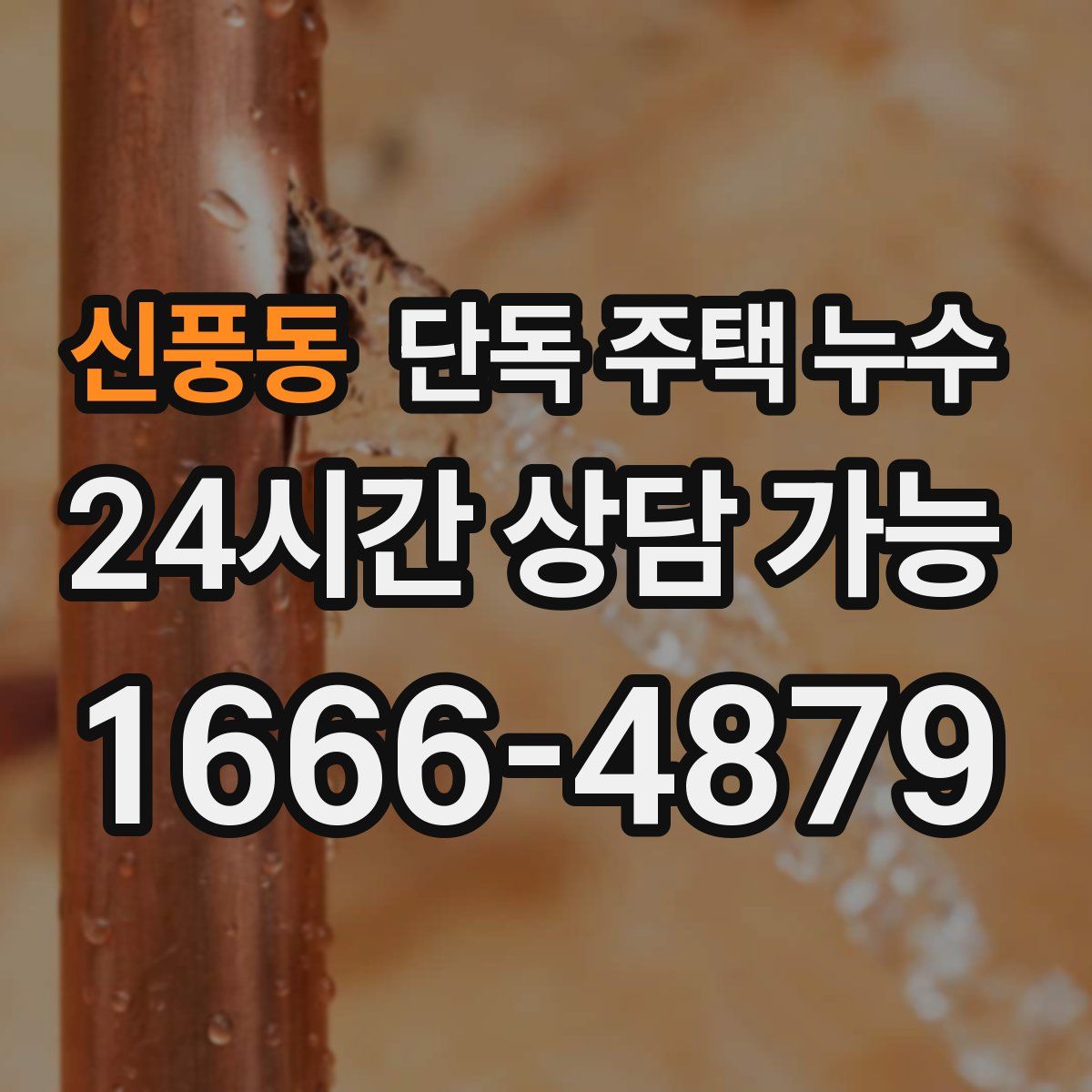 신풍동 단독 주택 누수