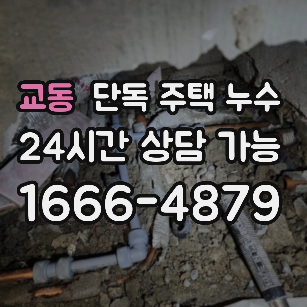 교동 단독 주택 누수 지붕 누수 방치 시 목재 구조물 손상 위험