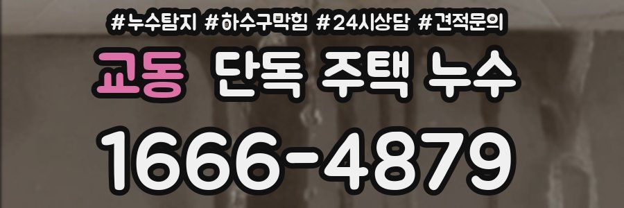 교동 단독 주택 누수