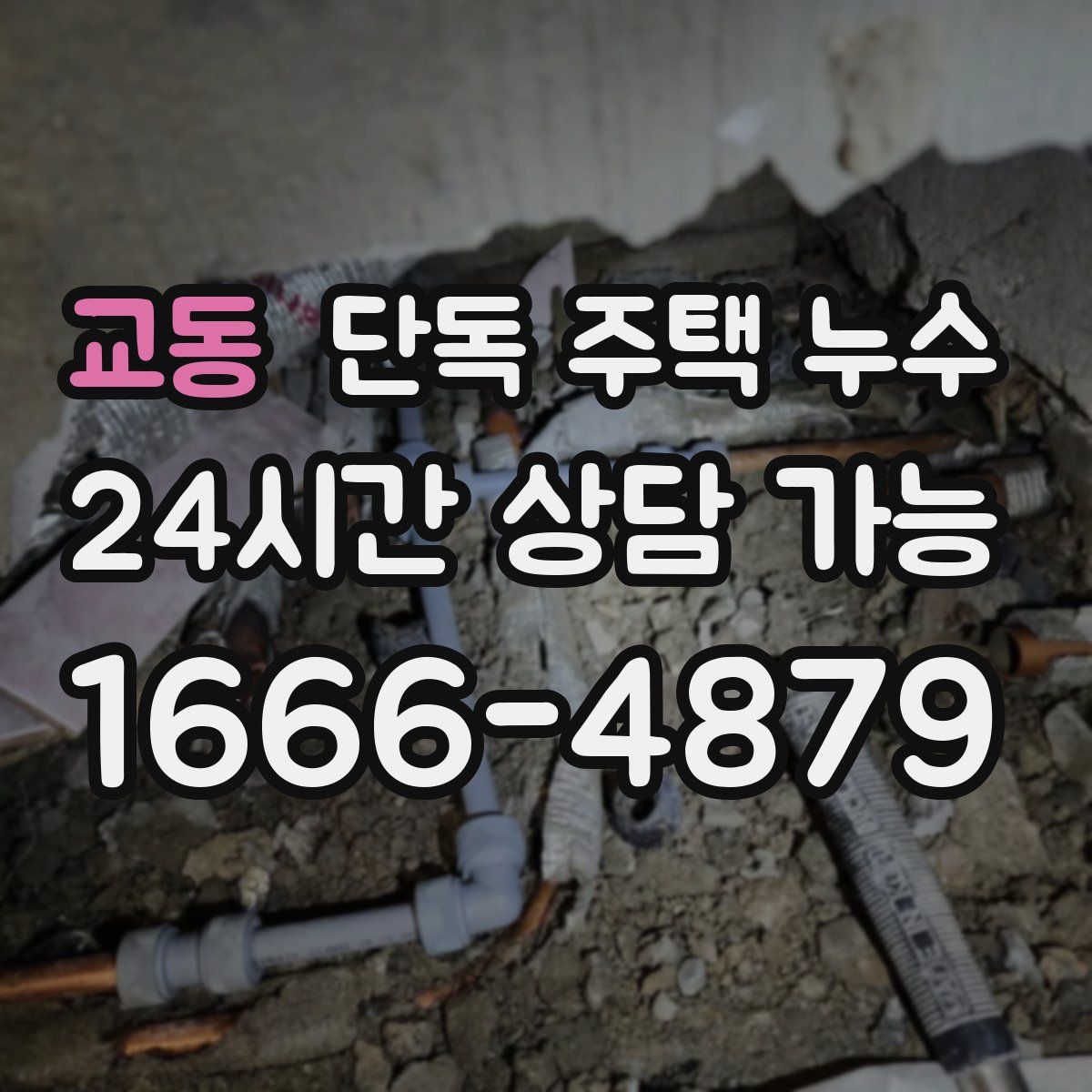 교동 단독 주택 누수