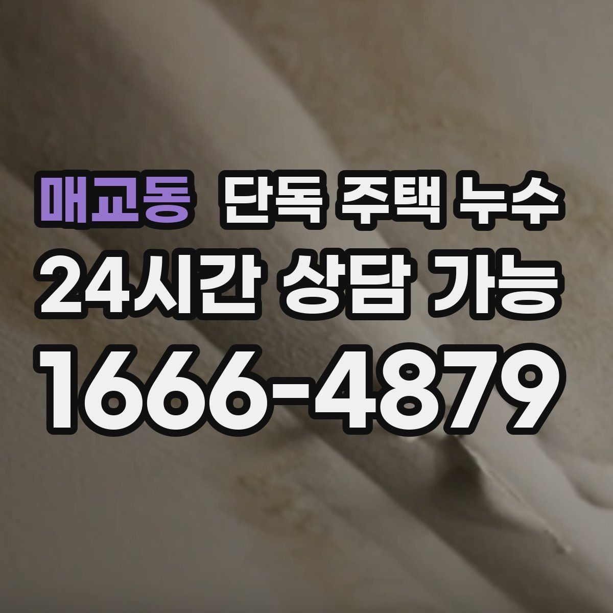 매교동 단독 주택 누수