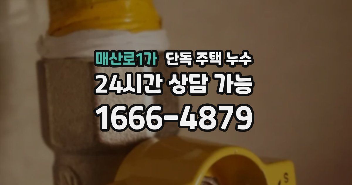 매산로1가 단독 주택 누수