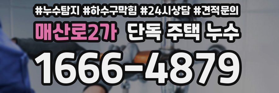 매산로2가 단독 주택 누수