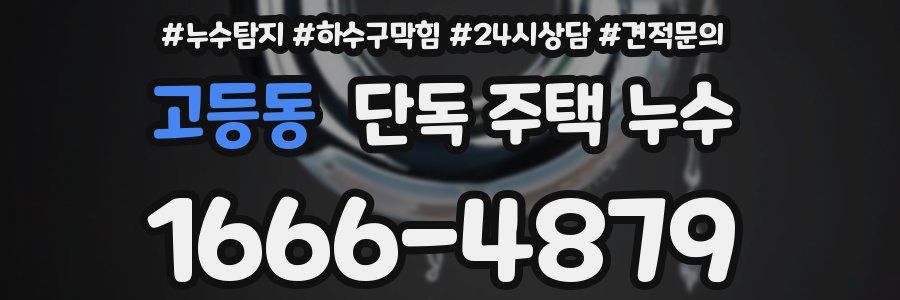 고등동 단독 주택 누수