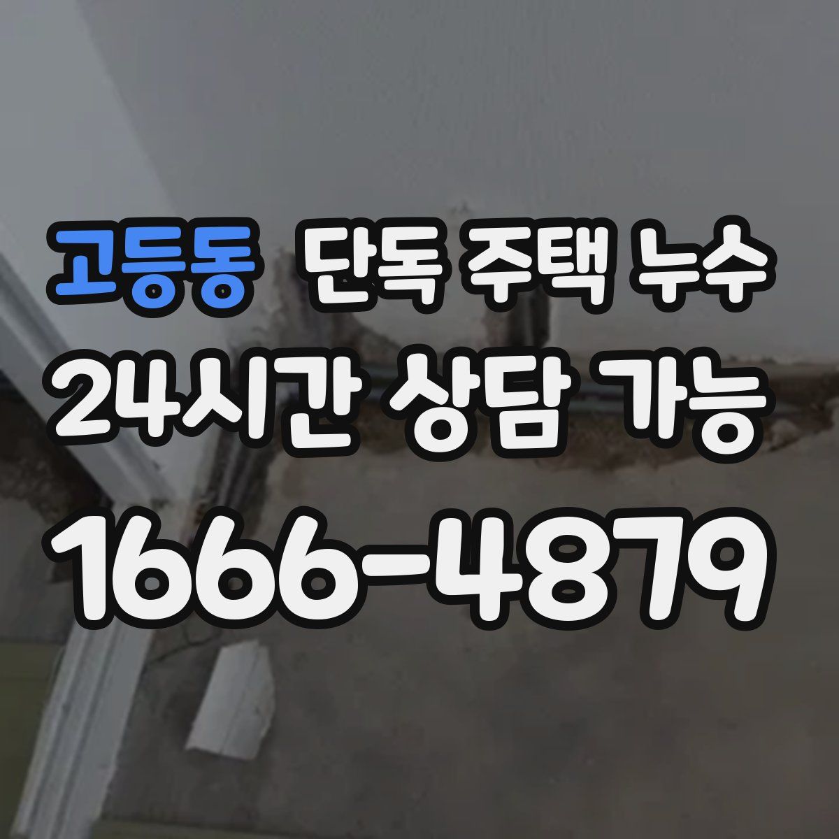 고등동 단독 주택 누수