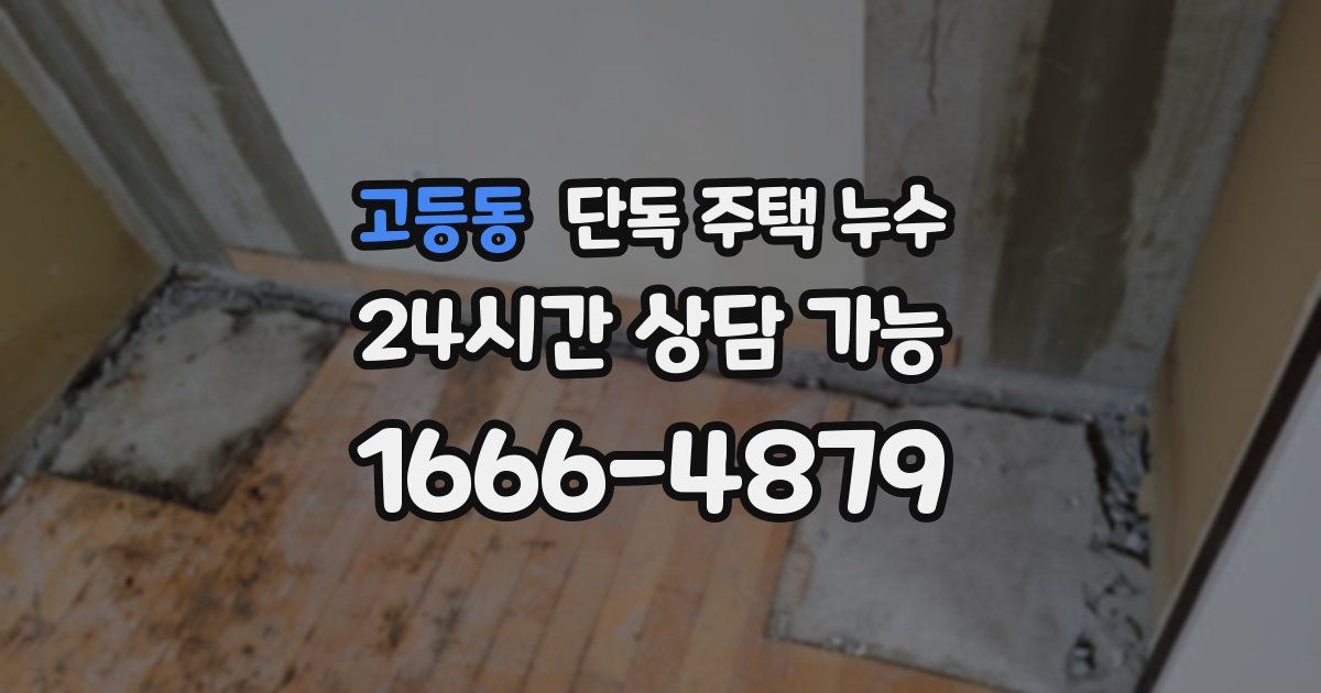 고등동 단독 주택 누수