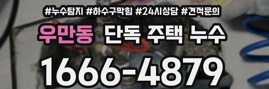 우만동 단독 주택 누수