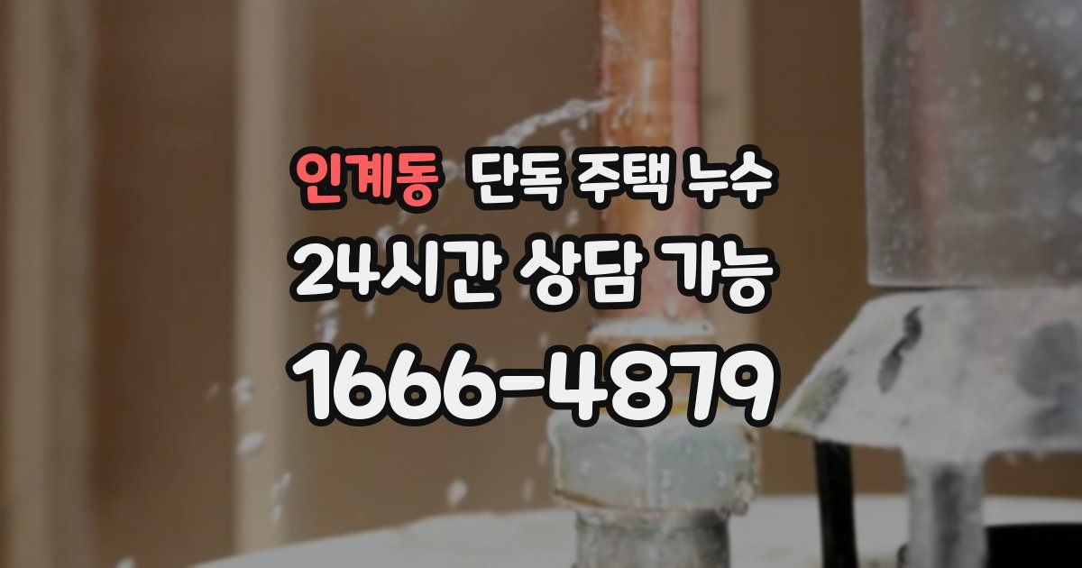 인계동 단독 주택 누수