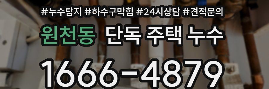 원천동 단독 주택 누수