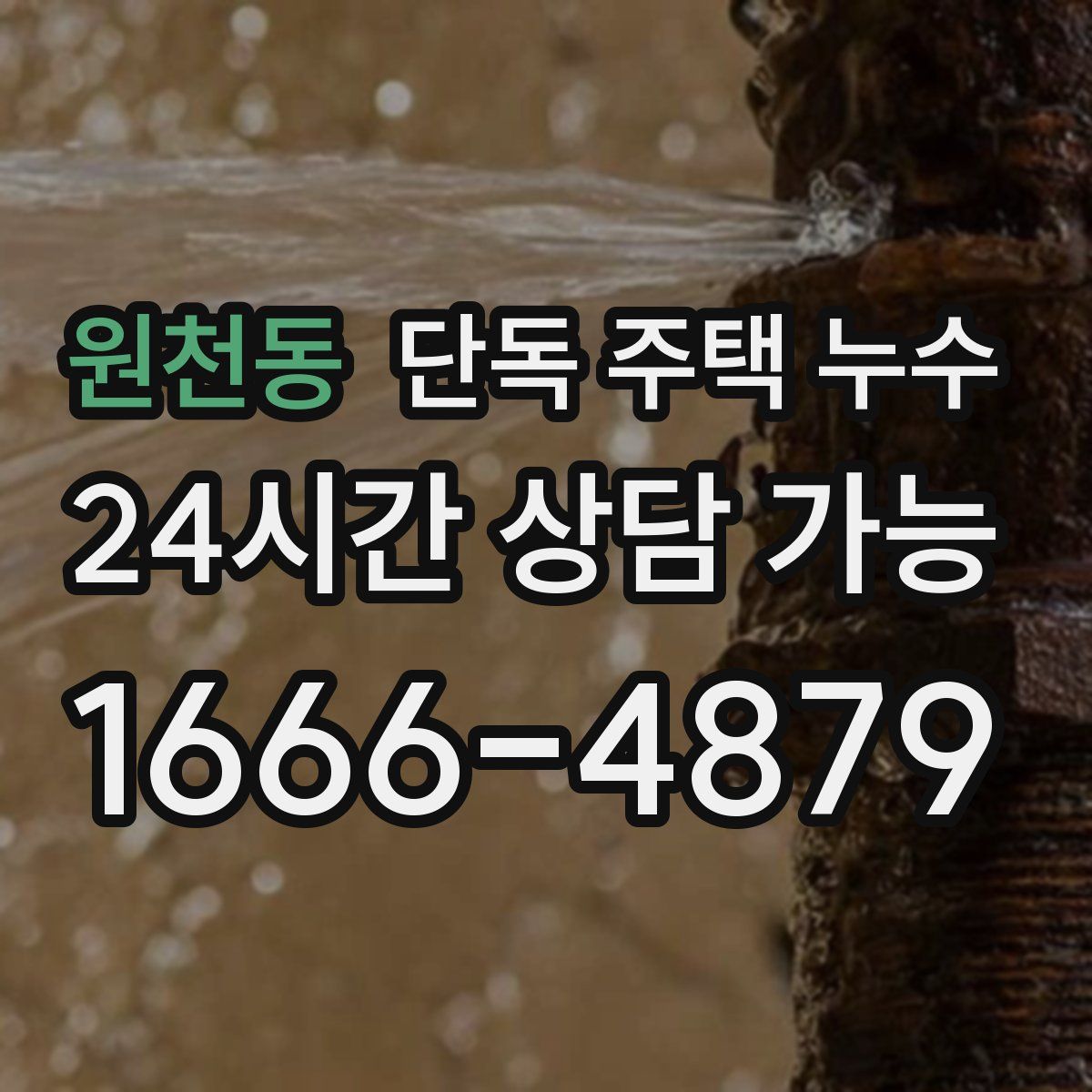 원천동 단독 주택 누수