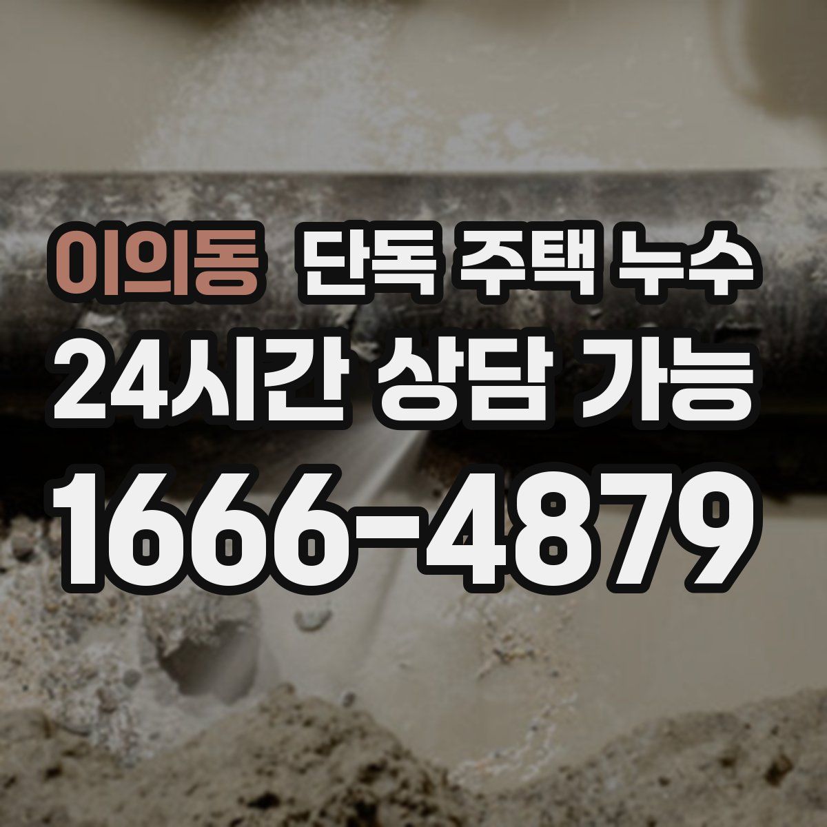 이의동 단독 주택 누수