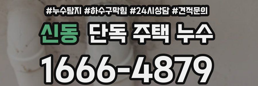 신동 단독 주택 누수