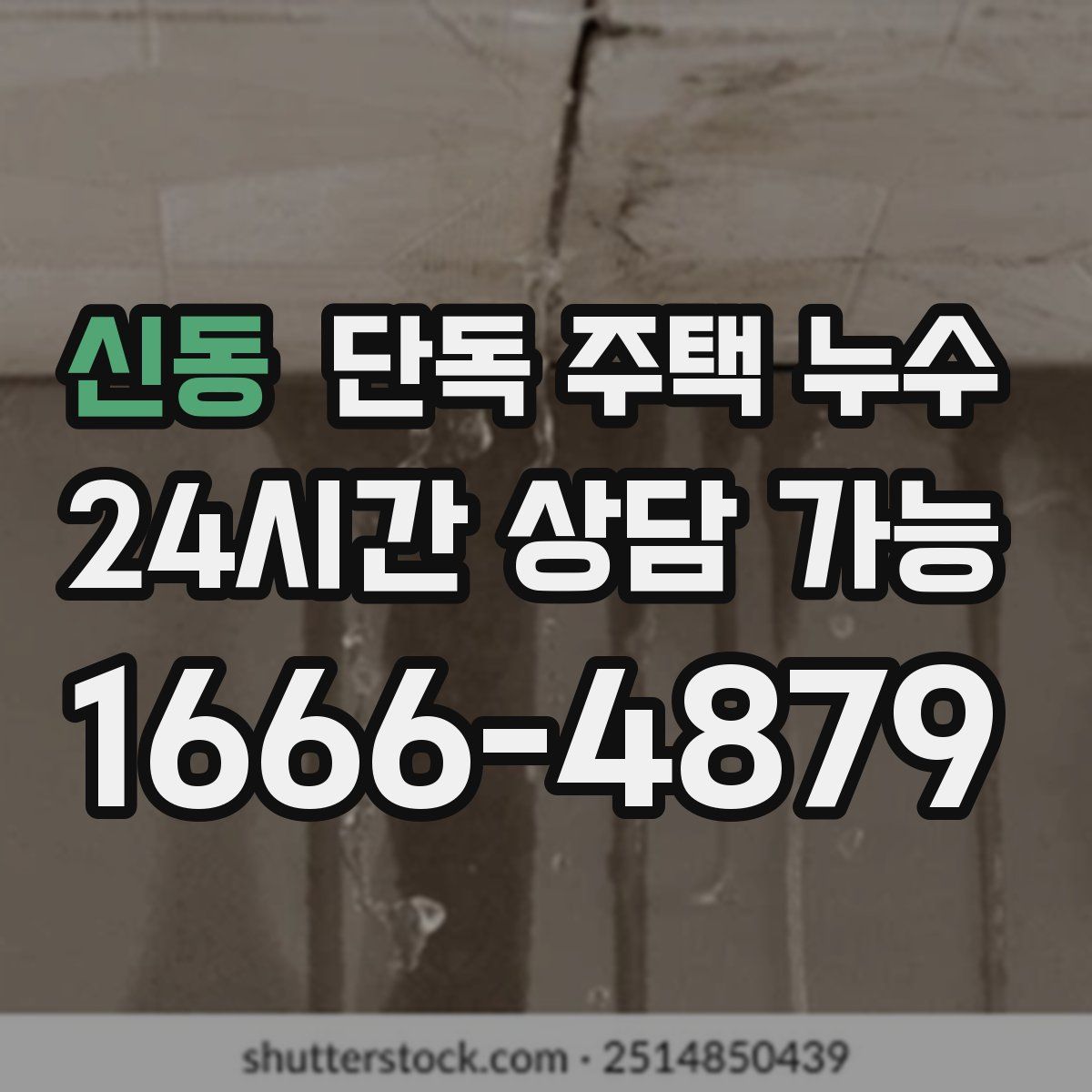 신동 단독 주택 누수