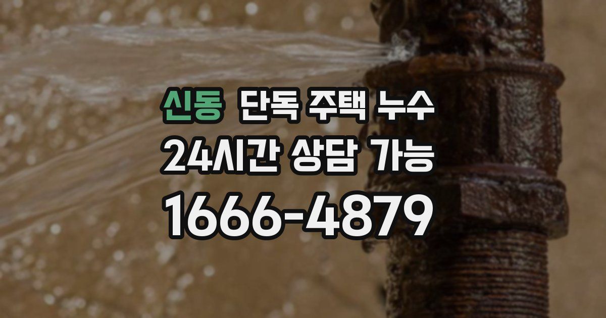 신동 단독 주택 누수