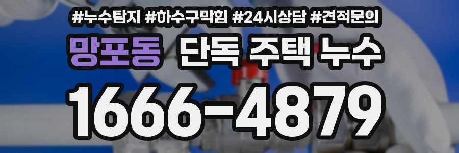 망포동 단독 주택 누수