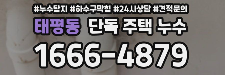 태평동 단독 주택 누수