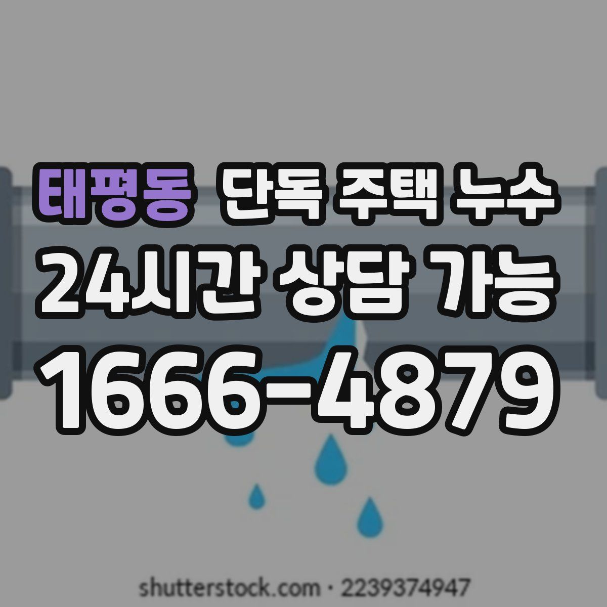 태평동 단독 주택 누수