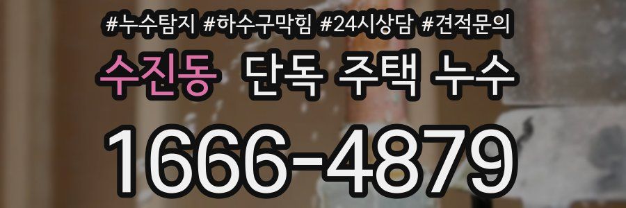 수진동 단독 주택 누수