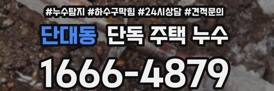 단대동 단독 주택 누수