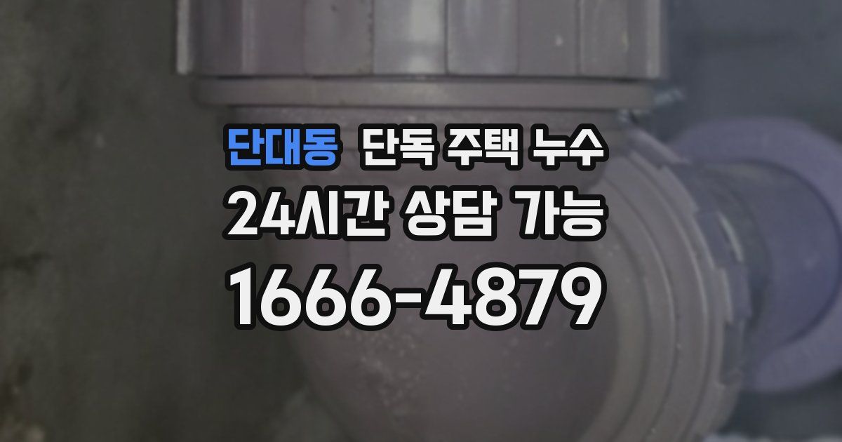 단대동 단독 주택 누수