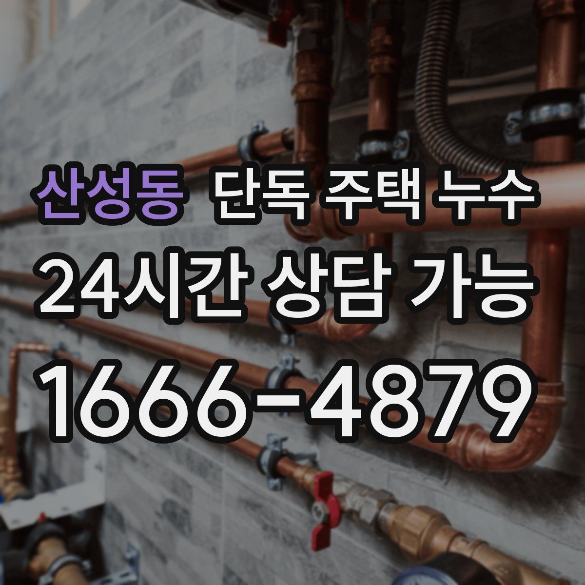 산성동 단독 주택 누수