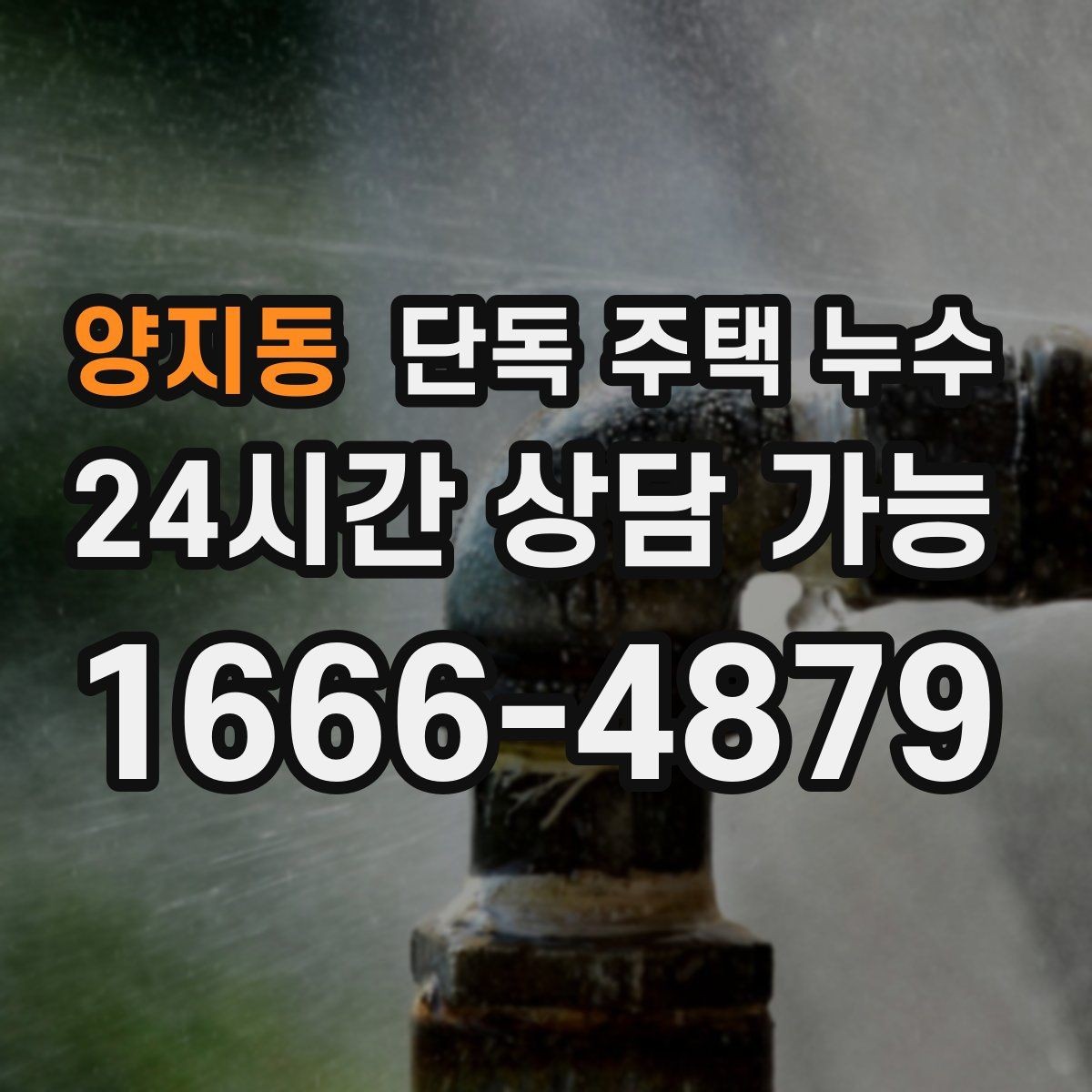양지동 단독 주택 누수 습기 제거만으로 해결 안 되는 사례