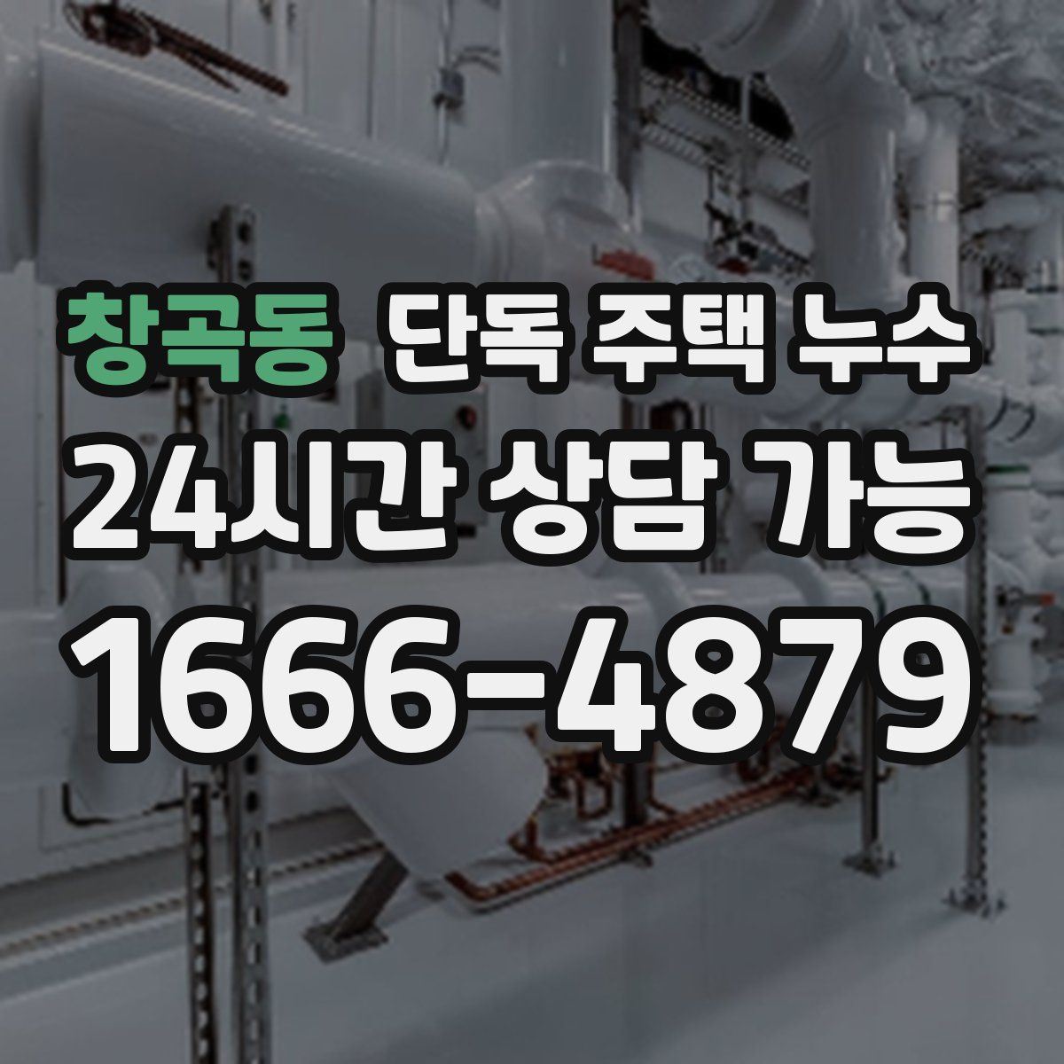창곡동 단독 주택 누수