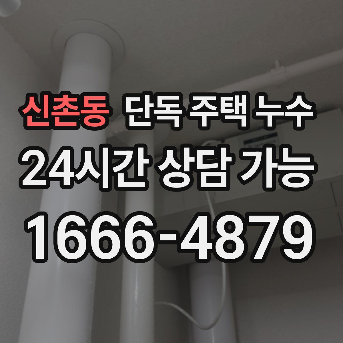 신촌동 단독 주택 누수