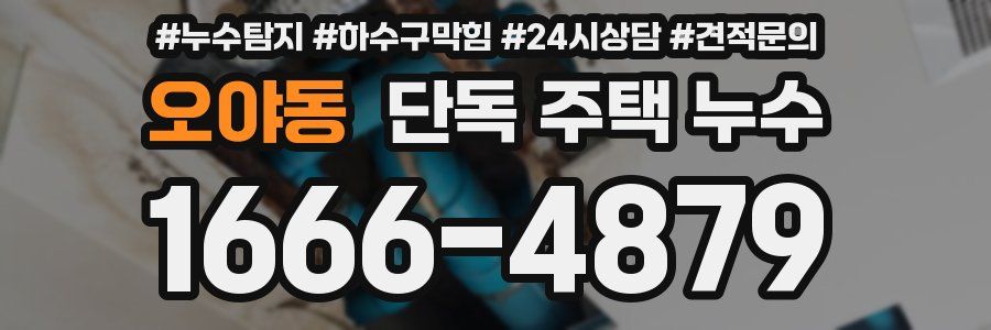 오야동 단독 주택 누수