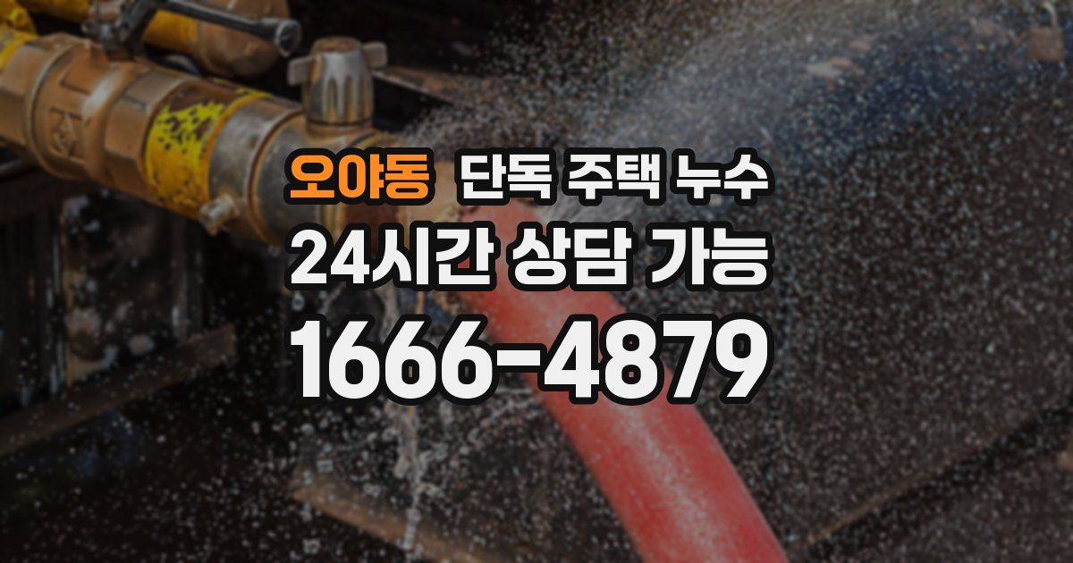 오야동 단독 주택 누수