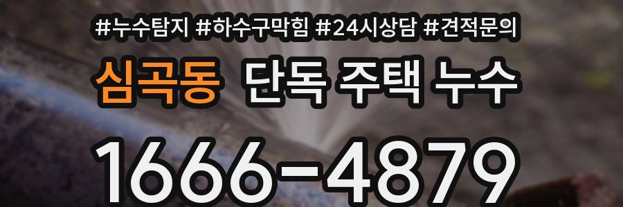 심곡동 단독 주택 누수