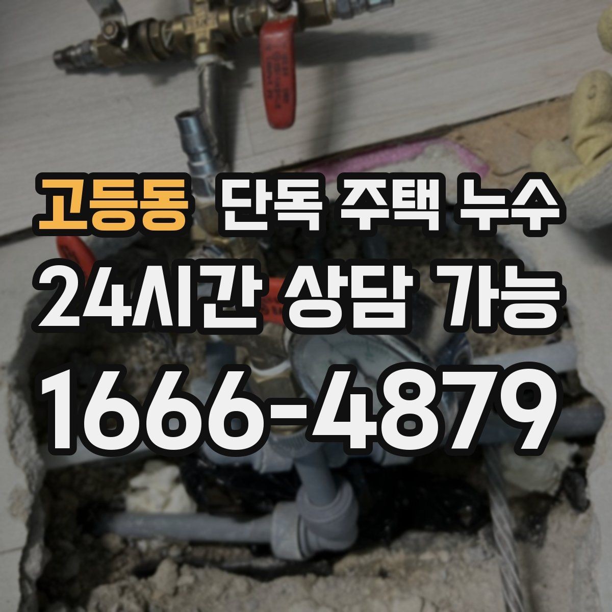 고등동 단독 주택 누수 다용도실 배수 주변 곰팡이 반복될 때