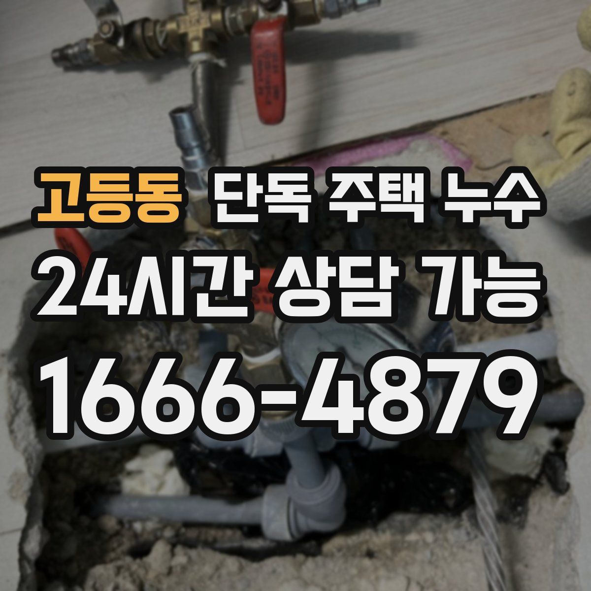 고등동 단독 주택 누수