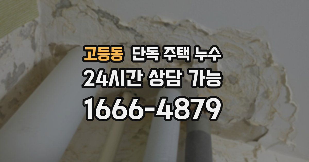 고등동 단독 주택 누수