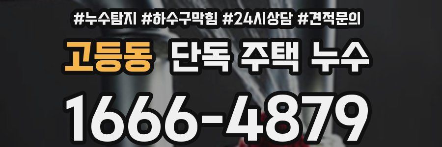 고등동 단독 주택 누수