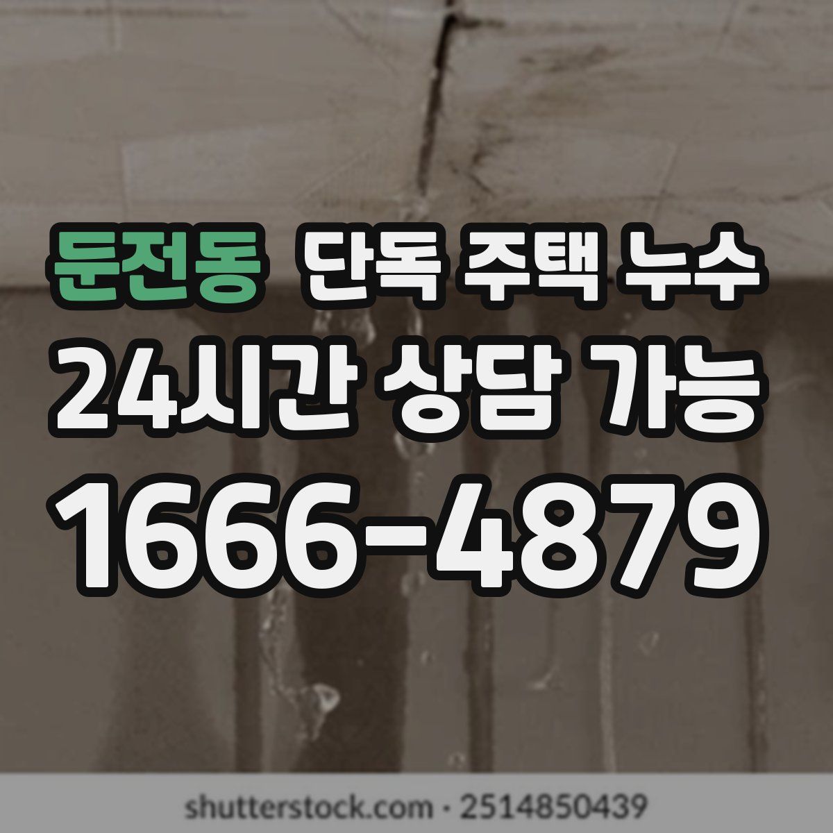 둔전동 단독 주택 누수